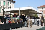 IMG_1530