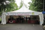 struttura feste e fiere