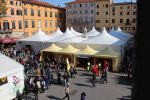 tendoni itineranti