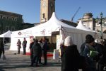 tensostrutture manifestazioni